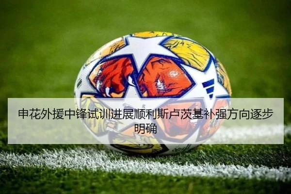 申花外援中锋试训进展顺利斯卢茨基补强方向逐步明确